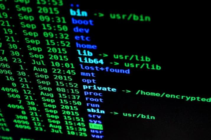 Mastering Bash Scripting: Essential Concepts and Examples